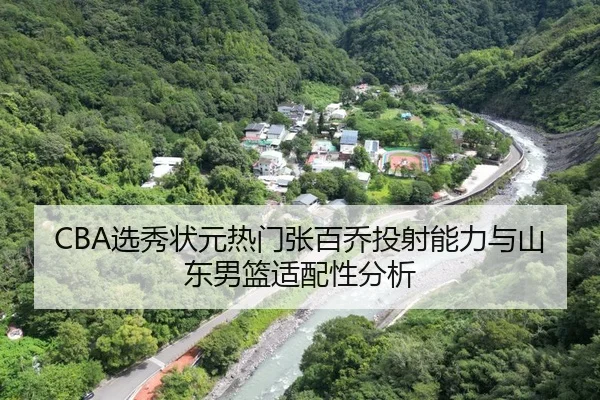 CBA选秀状元热门张百乔投射能力与山东男篮适配性分析