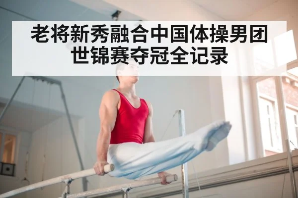 老将新秀融合中国体操男团世锦赛夺冠全记录